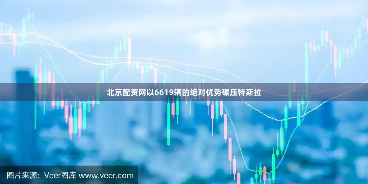 北京配资网以6619辆的绝对优势碾压特斯拉
