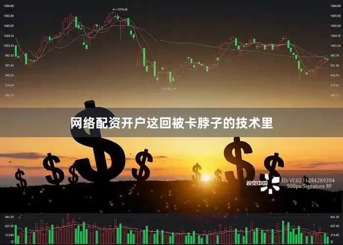 网络配资开户这回被卡脖子的技术里