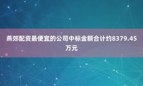 燕郊配资最便宜的公司中标金额合计约8379.45万元