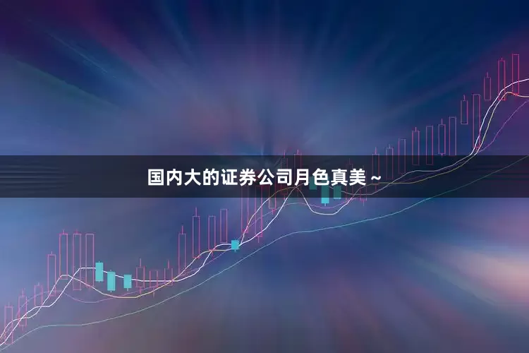 国内大的证券公司月色真美～