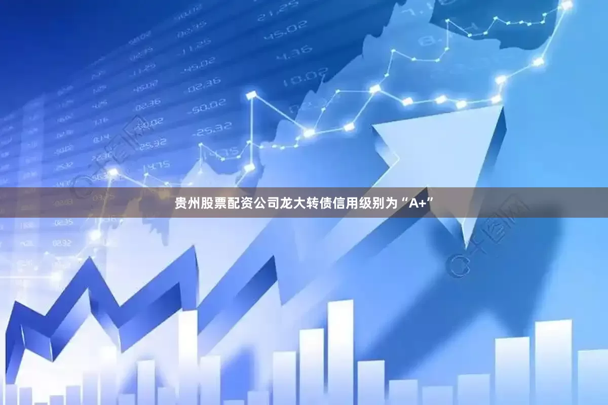贵州股票配资公司龙大转债信用级别为“A+”