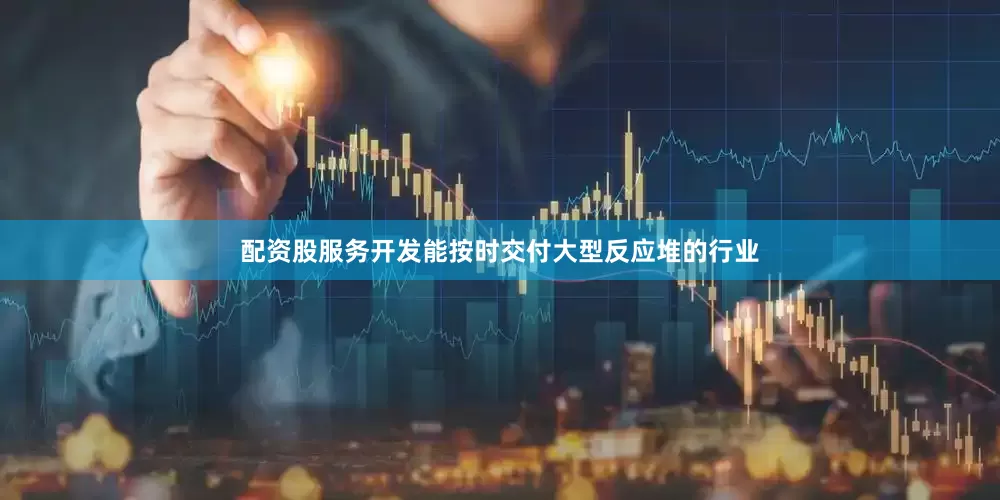 配资股服务开发能按时交付大型反应堆的行业